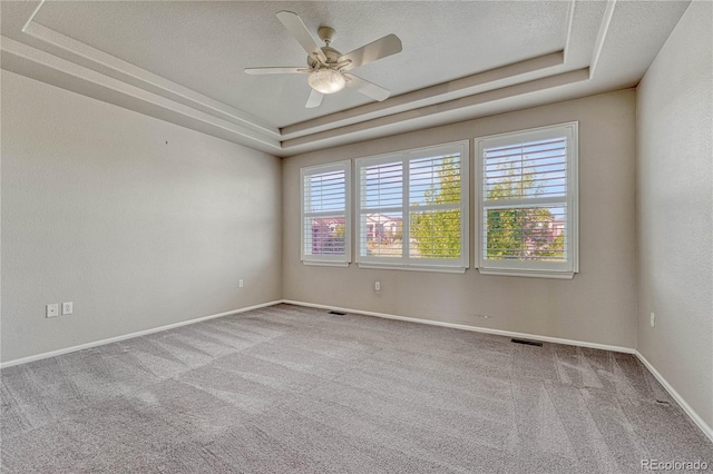 unfurnished room featuring carpet, a tray ceiling, and a healthy amount of sunlight