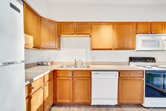 kitchen featuring white appliances, light hardwood / wood-style flooring, and sink