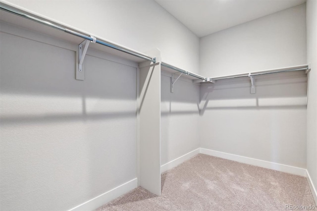 spacious closet with light carpet