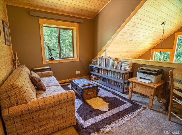 25879 County Road 162e, Nathrop, CO 81236 - sitting room with wooden ceiling, carpet, and vaulted ceiling