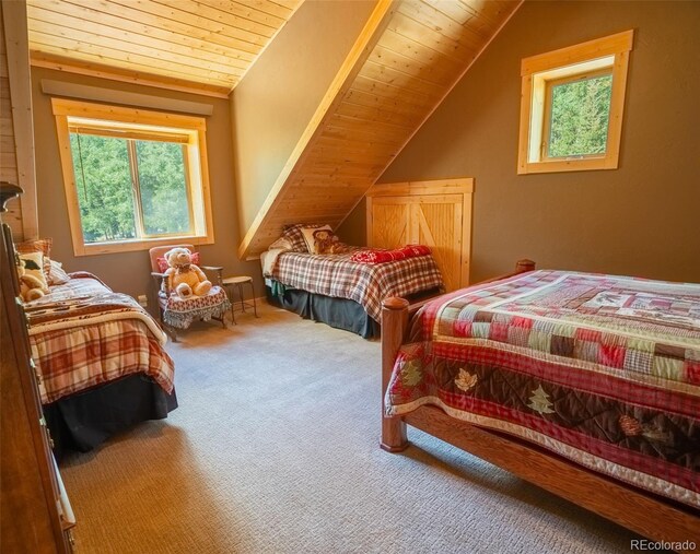 25879 County Road 162e, Nathrop, CO 81236 - carpeted bedroom featuring lofted ceiling and wood ceiling