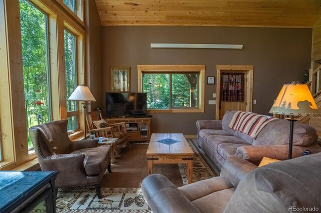 25879 County Road 162e, Nathrop, CO 81236 - living room with wooden ceiling and vaulted ceiling