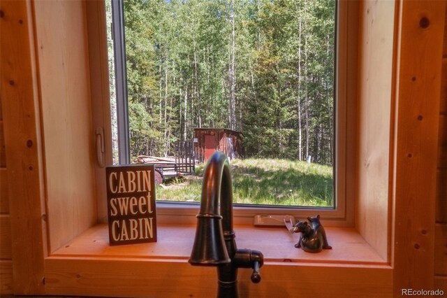 25879 County Road 162e, Nathrop, CO 81236 - kitchen view of a forest view