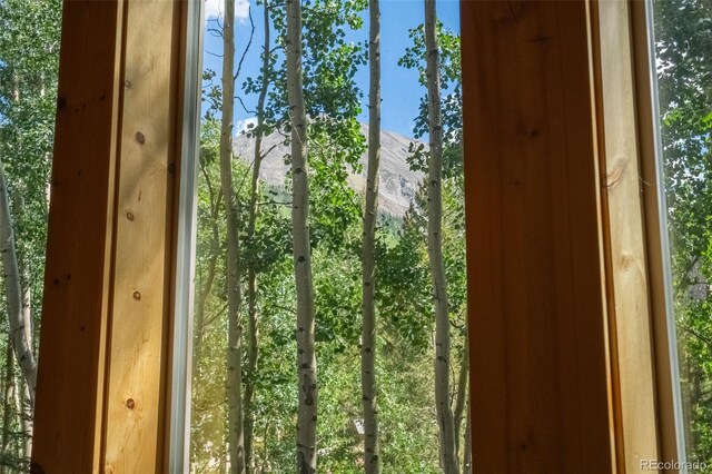 25879 County Road 162e, Nathrop, CO 81236 - detailed view