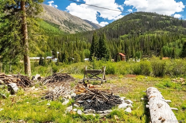 25879 County Road 162e, Nathrop, CO 81236 - view of mountain background with a heavily wooded area