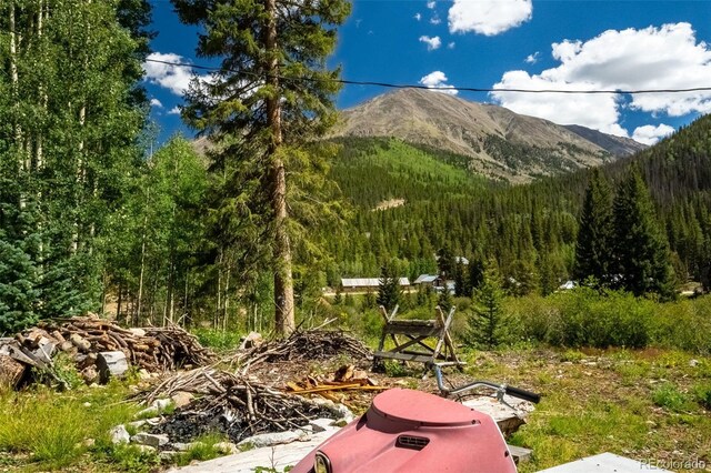 25879 County Road 162e, Nathrop, CO 81236 - mountain view with a heavily wooded area