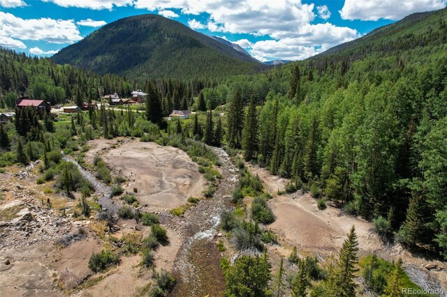 25879 County Road 162e, Nathrop, CO 81236 - mountain view featuring a forest