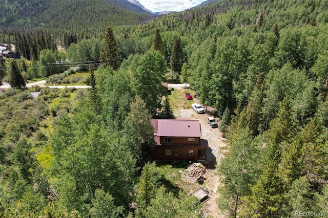 25879 County Road 162e, Nathrop, CO 81236 - view of subject property with a forest and a mountainous background