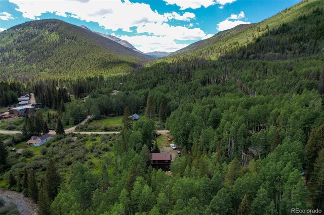 25879 County Road 162e, Nathrop, CO 81236 - mountain view featuring a forest
