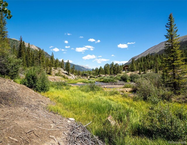 25879 County Road 162e, Nathrop, CO 81236 - mountain view