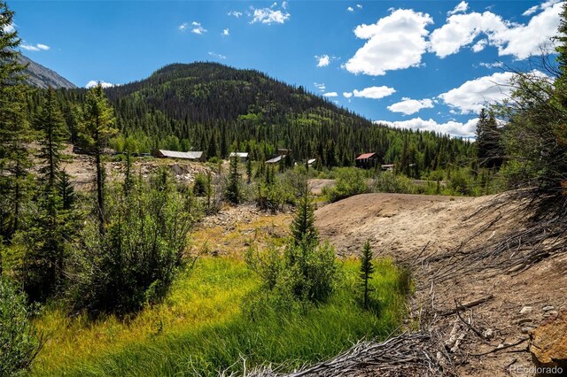 25879 County Road 162e, Nathrop, CO 81236 - view of mountain background with a heavily wooded area