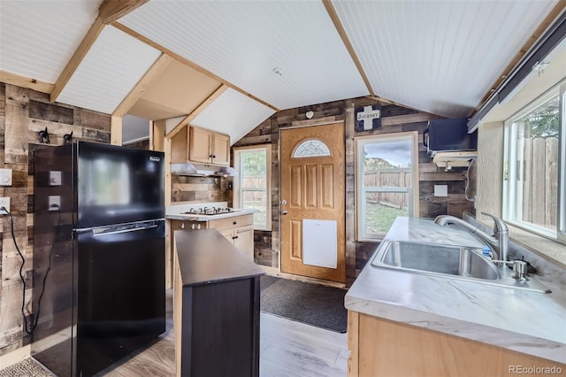 34502 Chilton Ave, Pine, CO 80470 - kitchen featuring lofted ceiling, light wood-style flooring, freestanding refrigerator, under cabinet range hood, and a sink