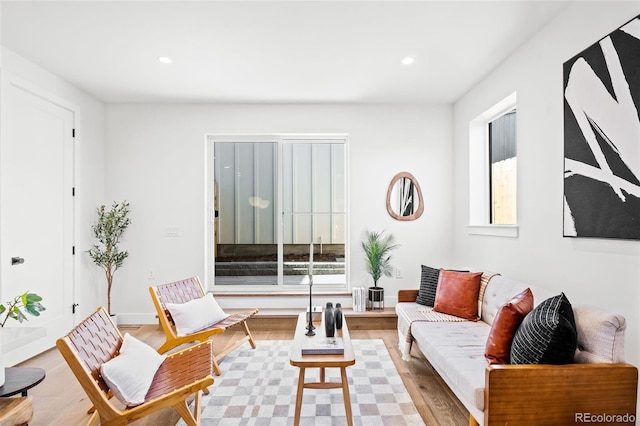 living room featuring light hardwood / wood-style flooring