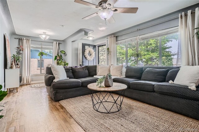 living room with light wood-type flooring and ceiling fan