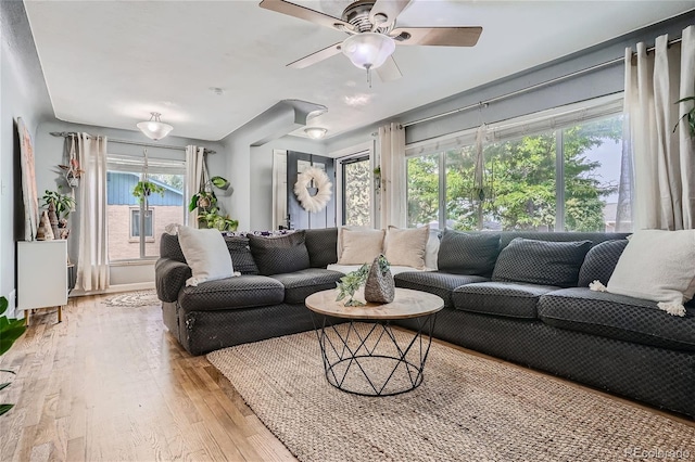 living room featuring ceiling fan and light hardwood / wood-style flooring