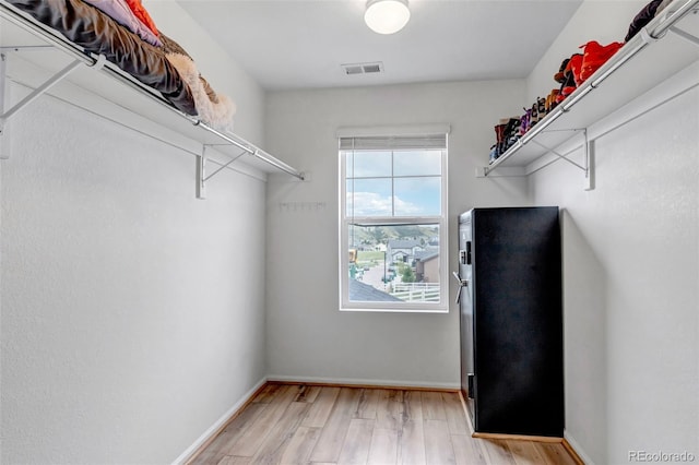 3599 Makley Cir, Castle Rock, CO 80104 - spacious closet featuring light wood-type flooring