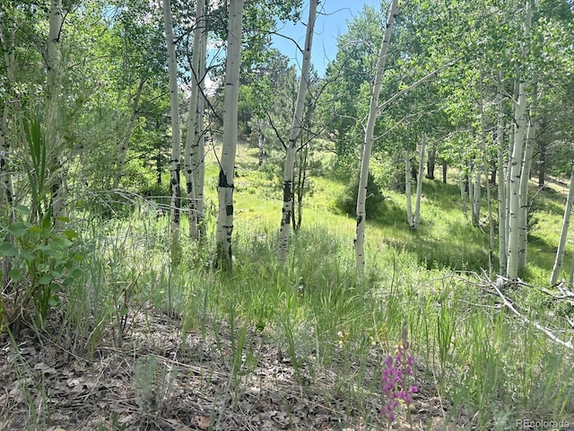 000L12 Dilley Rd, Westcliffe, CO 81252 - photo 1