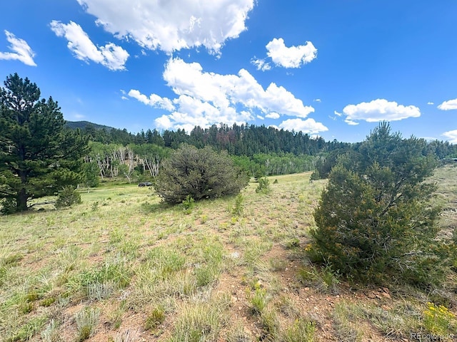 000L12 Dilley Rd, Westcliffe, CO 81252 - photo 4
