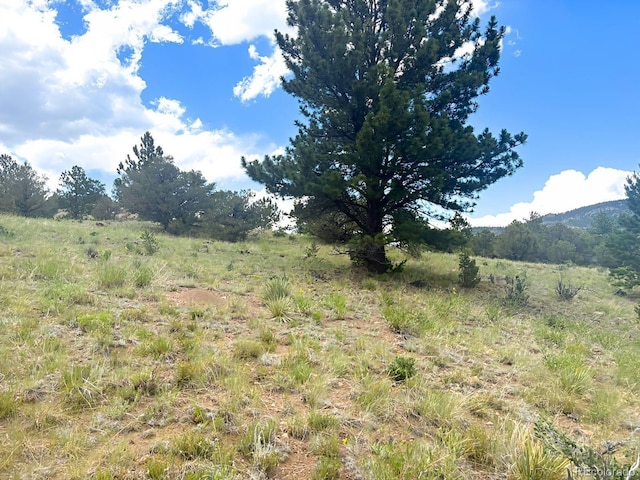 000L12 Dilley Rd, Westcliffe, CO 81252 - photo 8
