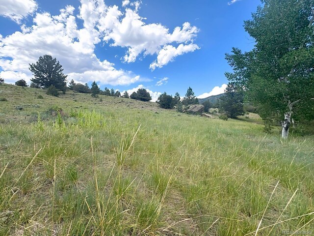 000L12 Dilley Rd, Westcliffe, CO 81252 - photo 10