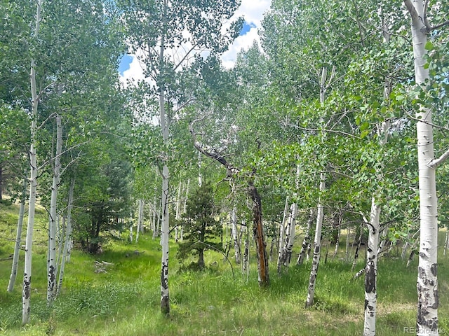 000L12 Dilley Rd, Westcliffe, CO 81252 - photo 13