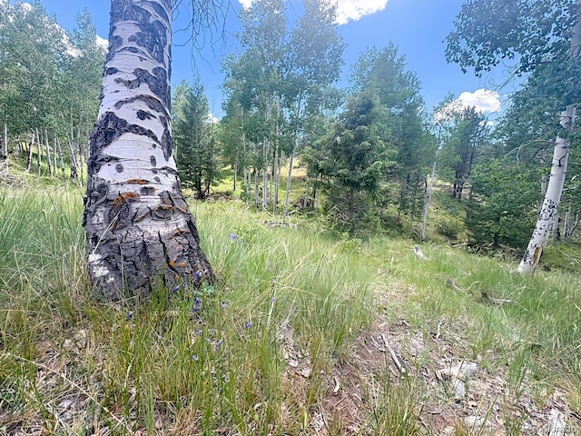000L12 Dilley Rd, Westcliffe, CO 81252 - photo 17