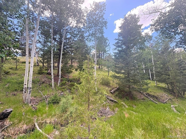 000L12 Dilley Rd, Westcliffe, CO 81252 - photo 18