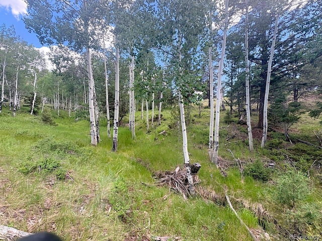 000L12 Dilley Rd, Westcliffe, CO 81252 - photo 19