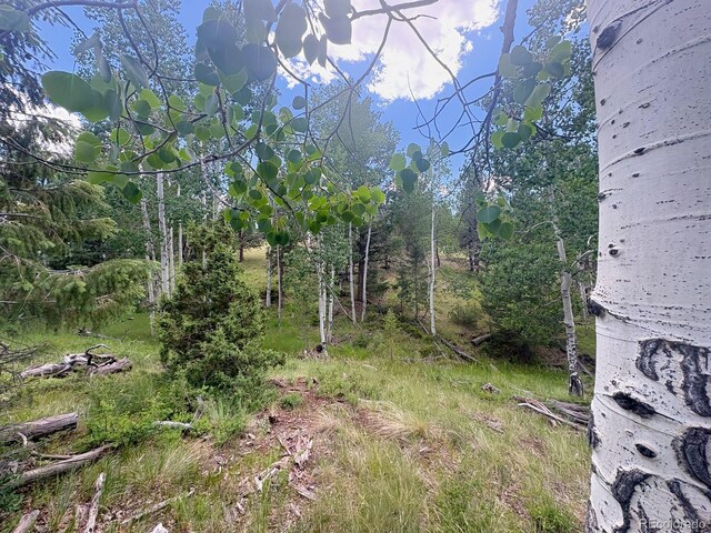 000L12 Dilley Rd, Westcliffe, CO 81252 - photo 20