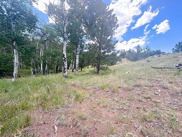 000L12 Dilley Rd, Westcliffe, CO 81252 - photo 21