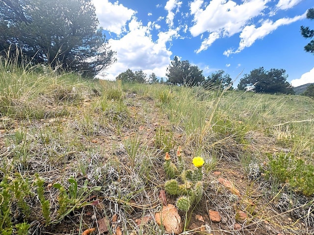 000L12 Dilley Rd, Westcliffe, CO 81252 - photo 5