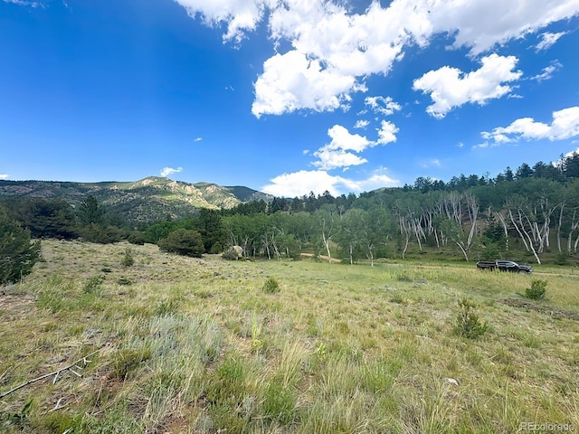 000L12 Dilley Rd, Westcliffe, CO 81252 - photo 6
