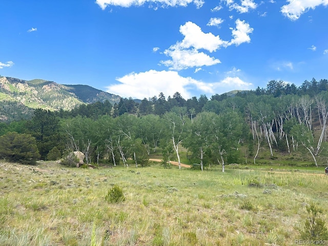000L12 Dilley Rd, Westcliffe, CO 81252 - photo 7