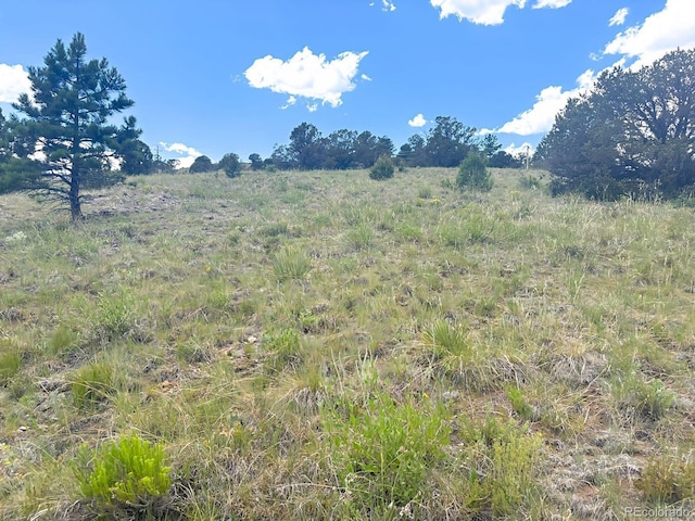 000L12 Dilley Rd, Westcliffe, CO 81252 - photo 9