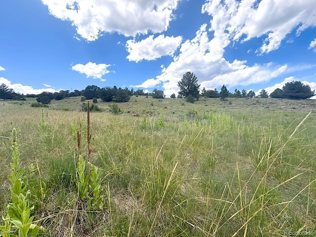 000L12 Dilley Rd, Westcliffe, CO 81252 - photo 11