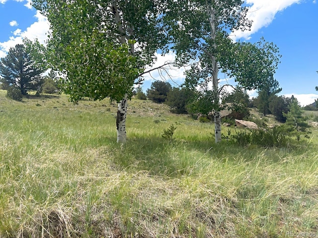 000L12 Dilley Rd, Westcliffe, CO 81252 - photo 12