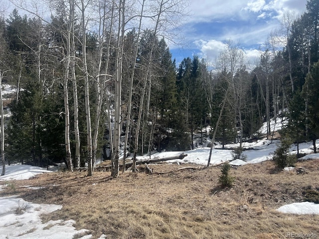 000L12 Dilley Rd, Westcliffe, CO 81252 - photo 27