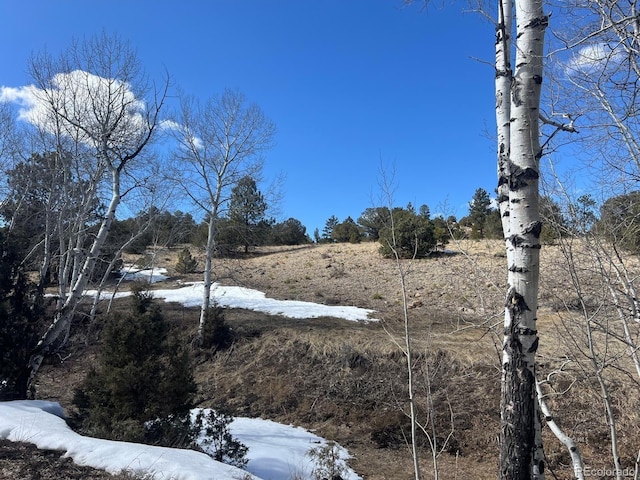 000L12 Dilley Rd, Westcliffe, CO 81252 - photo 30