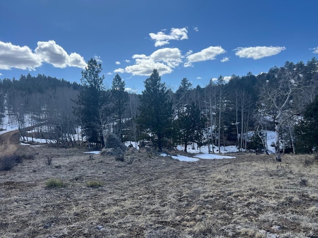 000L12 Dilley Rd, Westcliffe, CO 81252 - photo 35