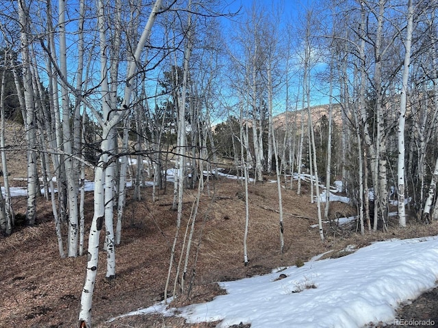 000L12 Dilley Rd, Westcliffe, CO 81252 - photo 31