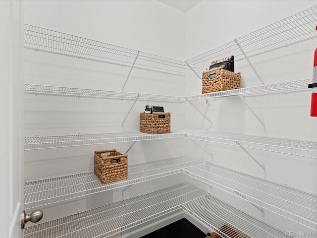 10730 Hillrose St, Parker, CO 80134 - view of pantry