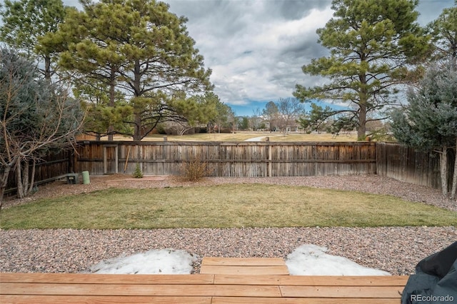 view of yard with a fenced backyard