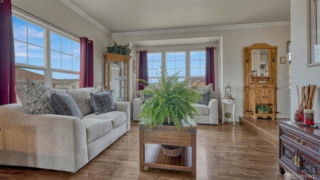 living room with crown molding, baseboards, and wood finished floors