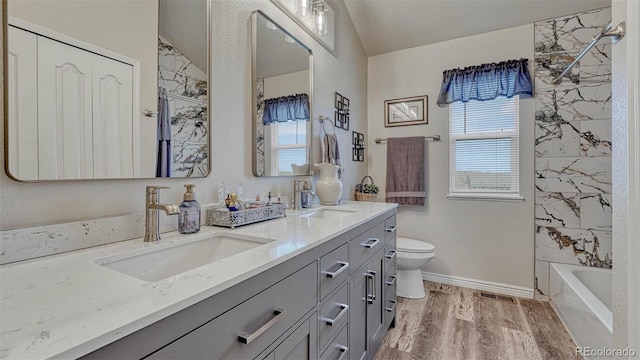 full bathroom featuring a sink, plenty of natural light, and toilet