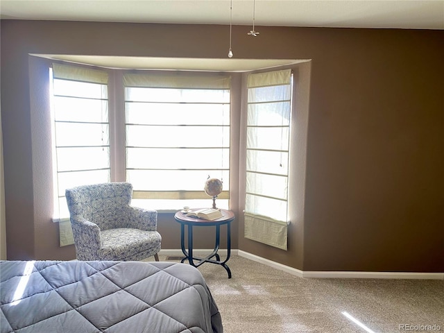 bedroom with carpet floors