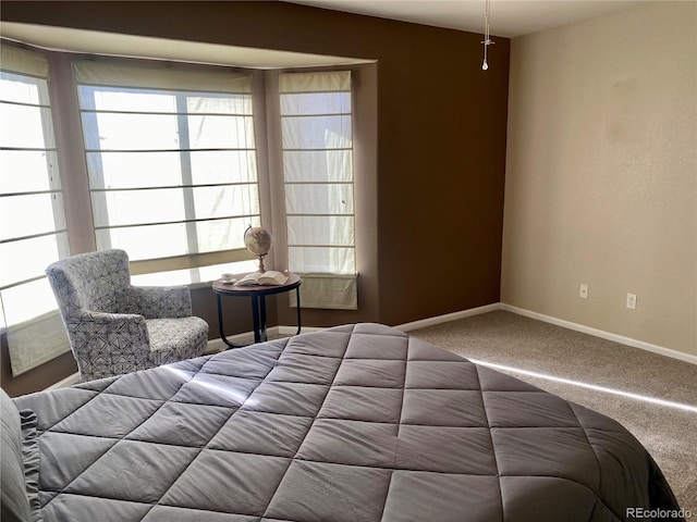 bedroom featuring multiple windows and carpet flooring