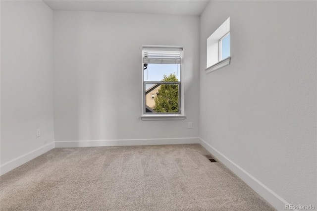 spare room with carpet floors