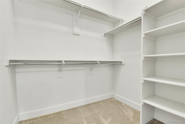 spacious closet with carpet floors