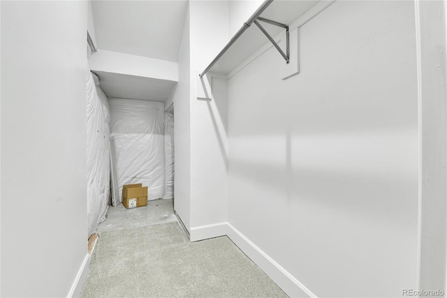 spacious closet with light carpet