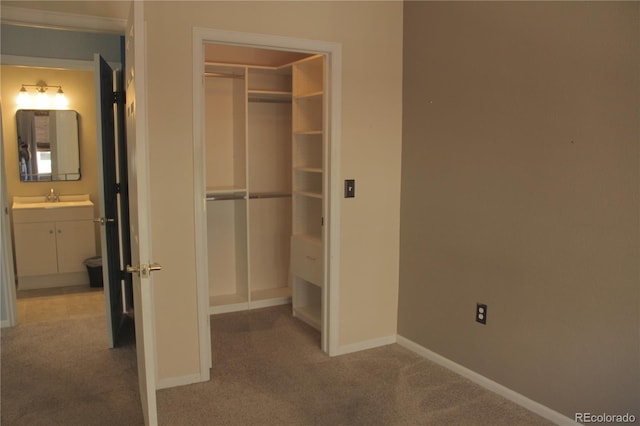 closet with sink